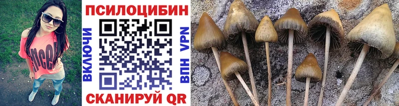 Галлюциногенные грибы Psilocybine cubensis Ковров