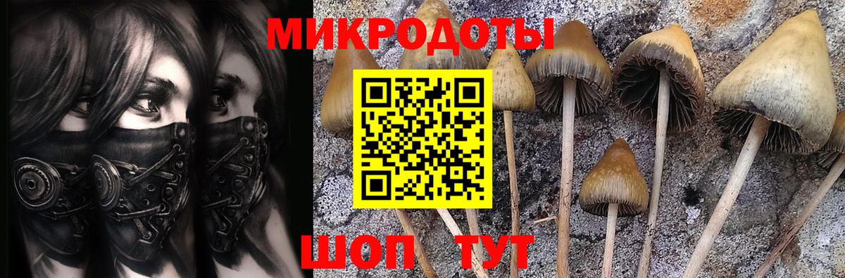 что такое   Псилоцибиновые грибы MAGIC MUSHROOMS  Вход с VPN  Ковров 