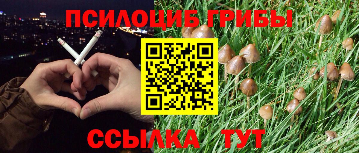 Псилоцибиновые грибы MAGIC MUSHROOMS Ковров